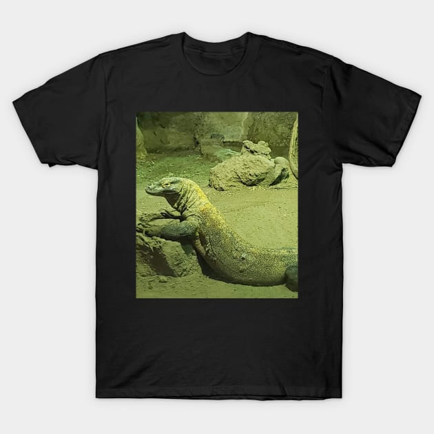 Komodo dragon T-Shirt by Sharonzoolady